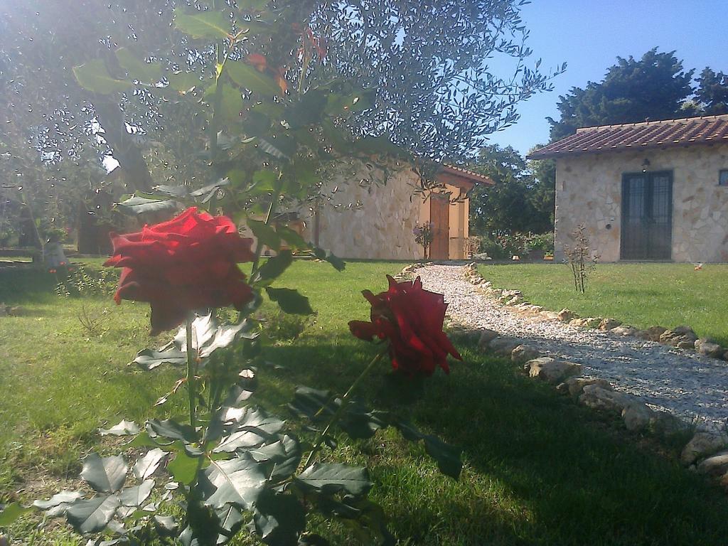 Villa Casale Dinelli à Tarquinia Chambre photo